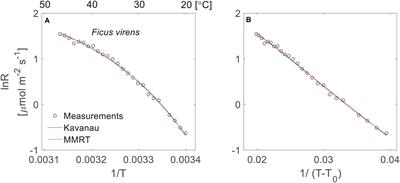 Short-Term Temperature Response of Leaf Respiration in Different Subtropical Urban Tree Species